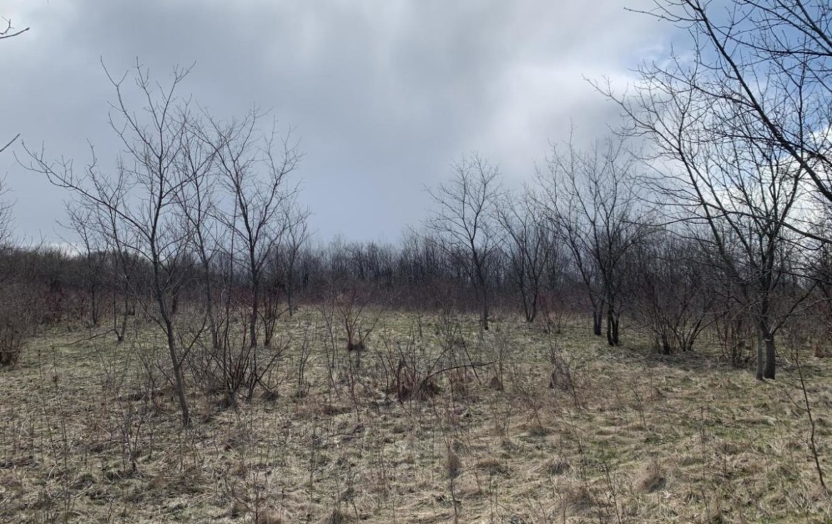 Adell Land Benefit Realty