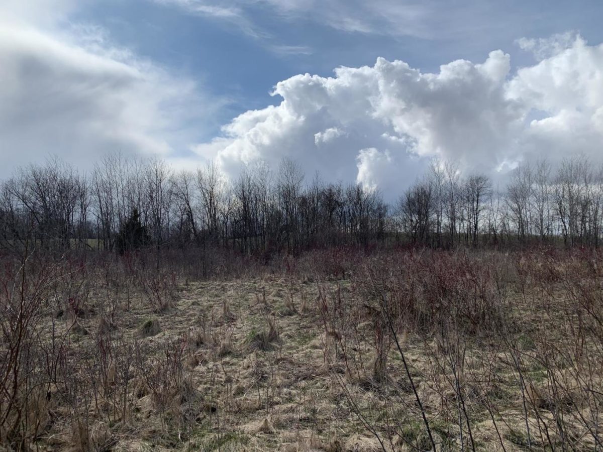 Adell Land Benefit Realty